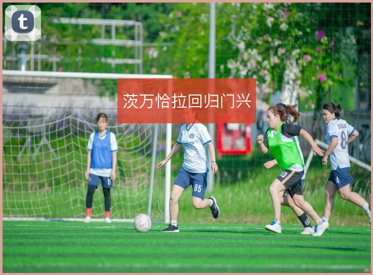 茨万恰拉回归门兴